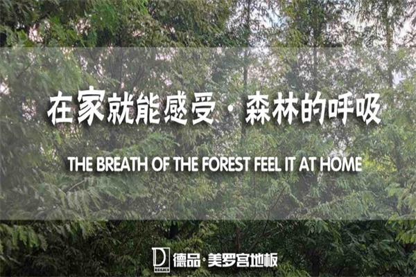 德品美罗宫地板产品 门店图片