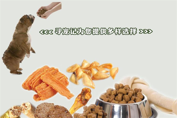 寻宠记