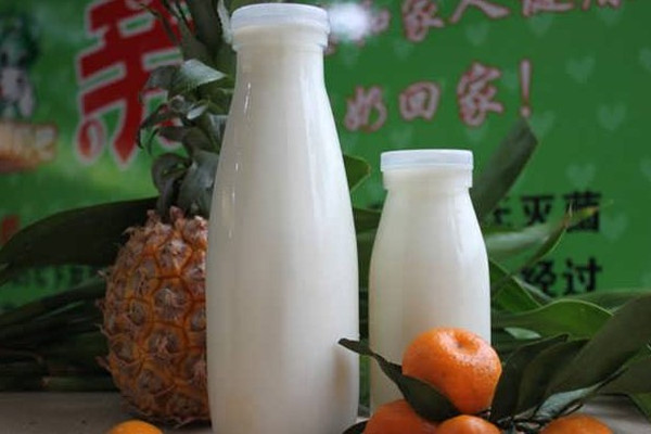 格瑞特鲜奶吧产品 门店图片
