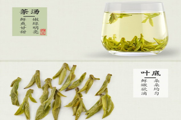 贡牌龙井产品 门店图片