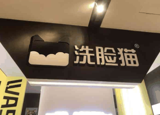 洗脸猫洗脸吧