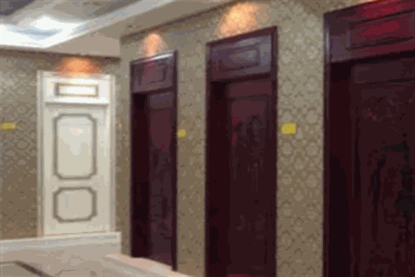 德意佳木门产品 门店图片