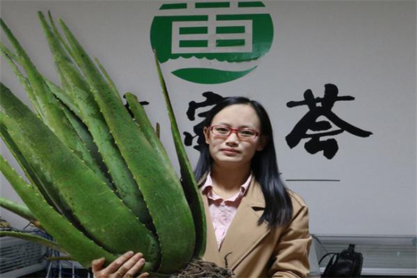 黄家荟芦荟产品 门店图片