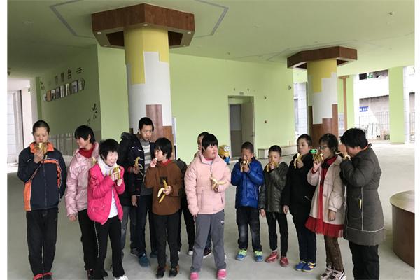 恩加小羊特殊教育加盟