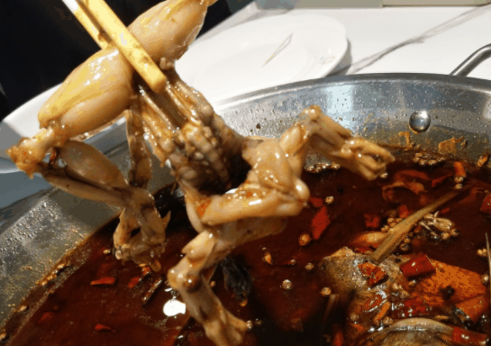 蛙留香美蛙鱼头