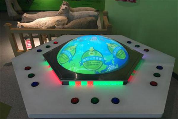 欢乐之星加盟