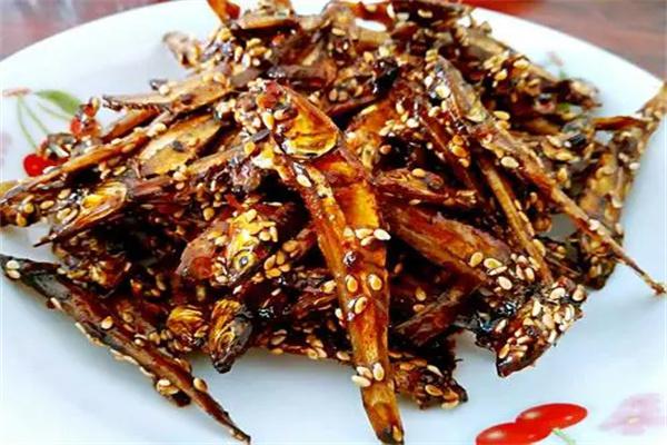 尚程食品产品 门店图片