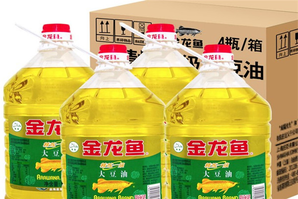 金龙鱼店赚钱吗？