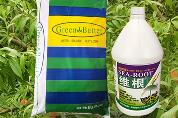 绿色一号产品 门店图片