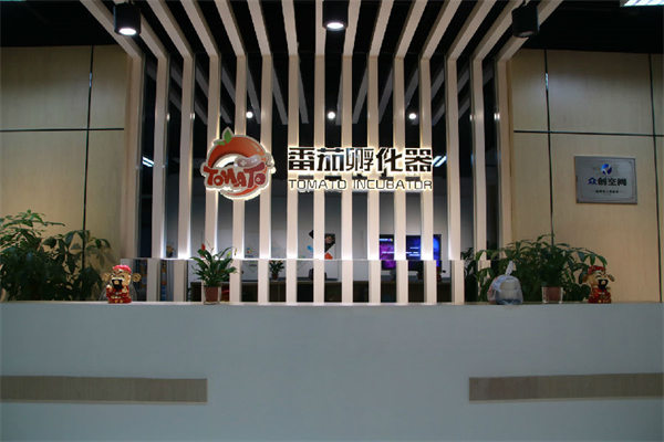 番茄孵化器有什么优势