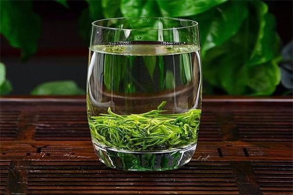 文新毛尖产品 门店图片