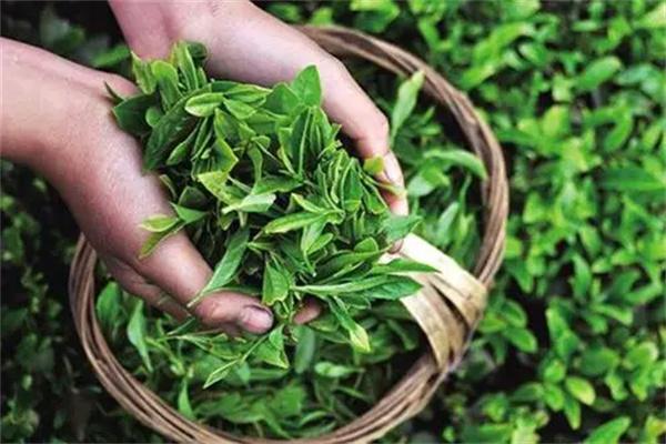 我茶产品 门店图片