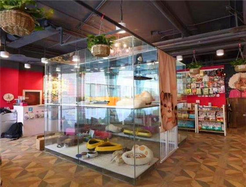 梦宠山庄宠物店产品 门店图片