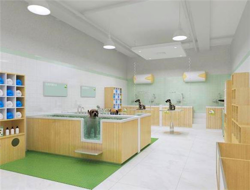 梦宠山庄宠物店产品 门店图片
