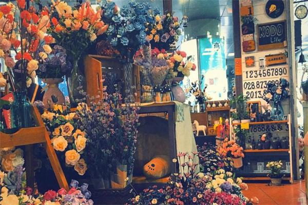 天狼月季产品 门店图片