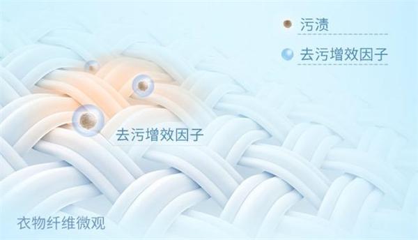 白阿姨洗衣