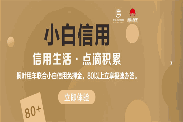 桐叶租车