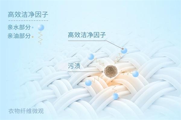 白阿姨洗衣