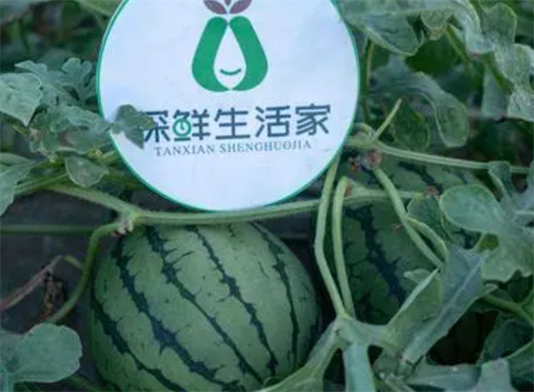 探鲜生活家产品 门店图片