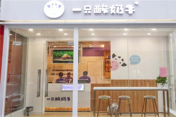 一只酸奶牛