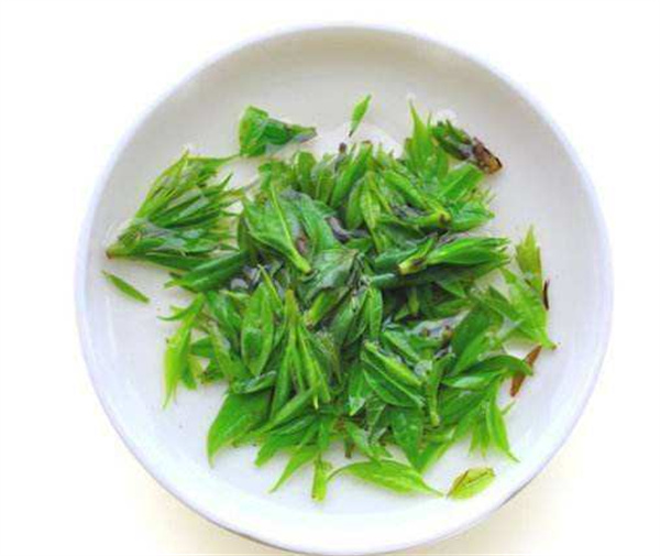 小叶苦丁茶产品 门店图片