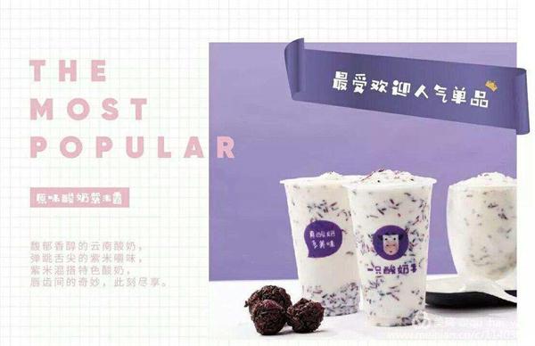 一只酸奶牛