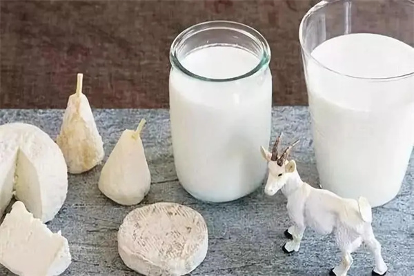 瑞康鲜羊奶产品 门店图片