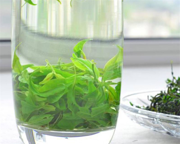 小叶苦丁茶产品 门店图片