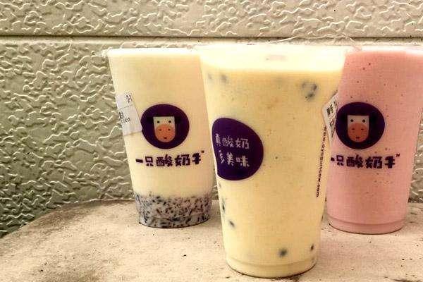 一只酸奶牛