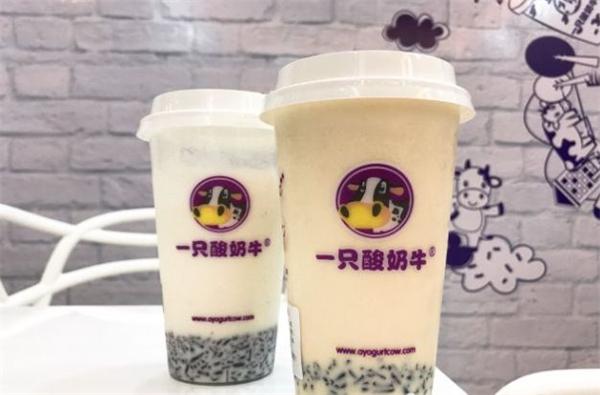 一只酸奶牛