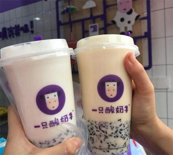 一只酸奶牛
