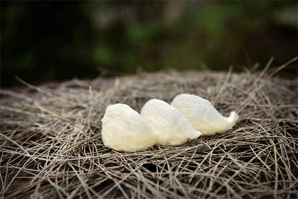 燕之巢产品 门店图片