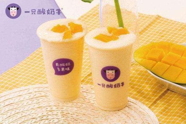 一只酸奶牛