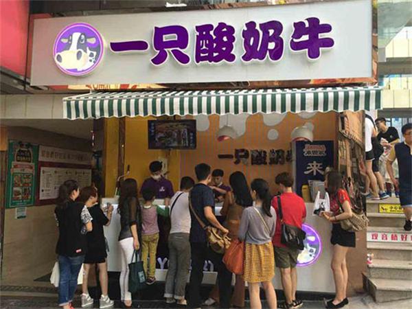 一只酸奶牛