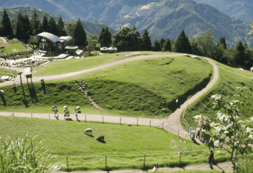 东风农场