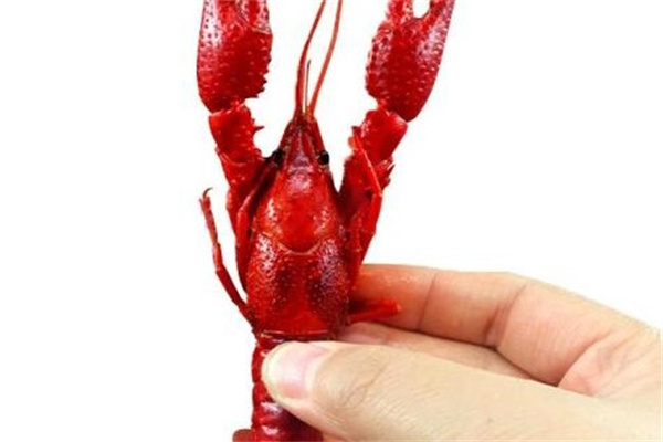 虾小弟产品 门店图片