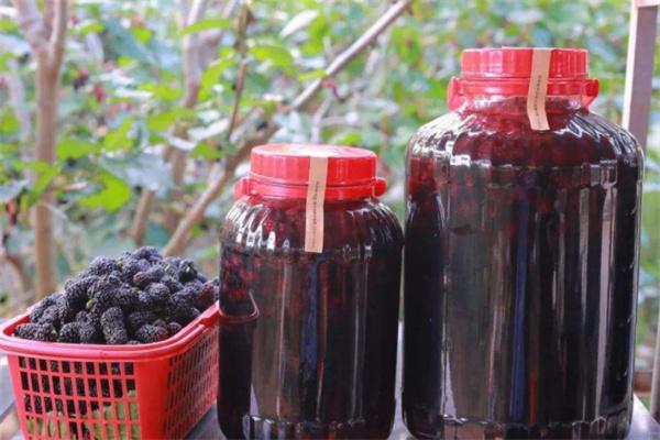 桑葚酒产品 门店图片