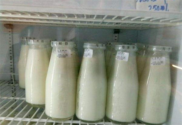 与芳鲜奶店产品 门店图片