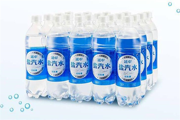 延中盐汽水