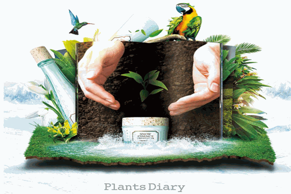 PlantsDiary 植物日记