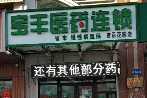 宝丰药店产品 门店图片