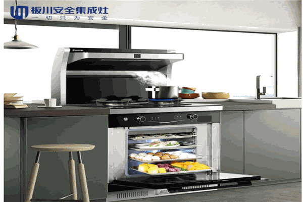 板川集成环保灶