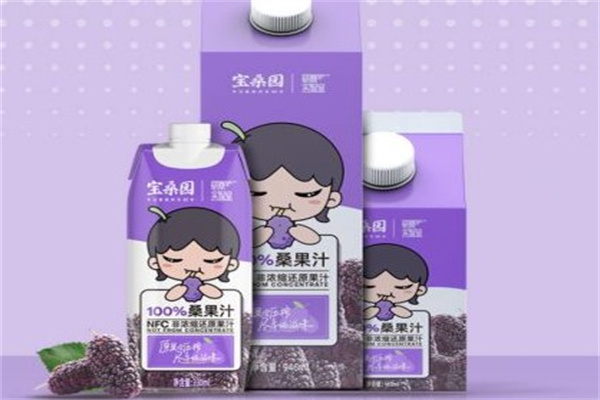 宝桑园桑果汁产品 门店图片