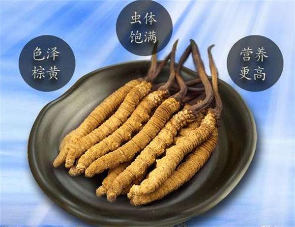 藏草堂冬虫夏草产品 门店图片