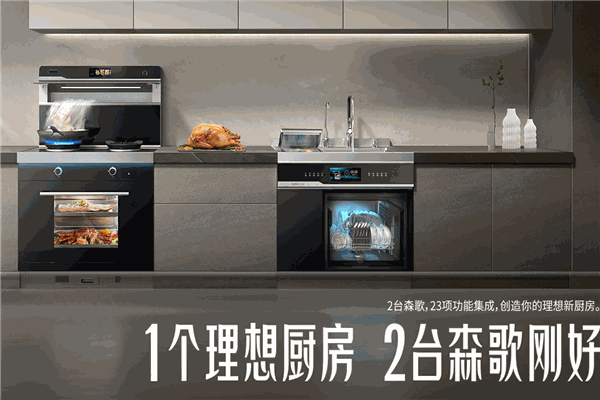 森歌集成环保灶