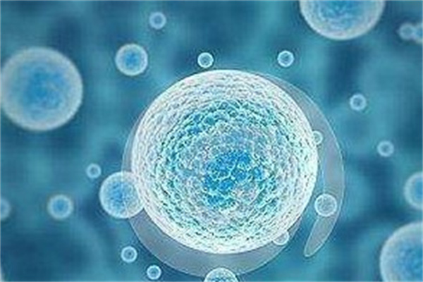 北连生物产品 门店图片