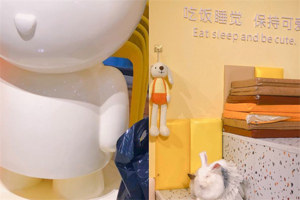 爱玩萌兔产品 门店图片
