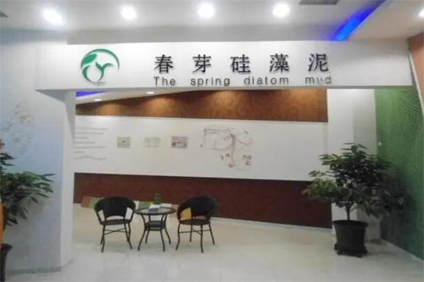 春芽硅藻泥加盟