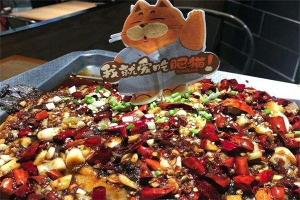 南锣肥猫烤鱼
