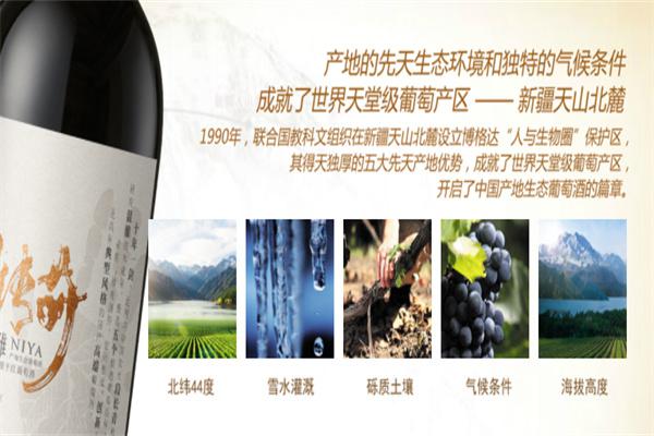 安酒产品 门店图片